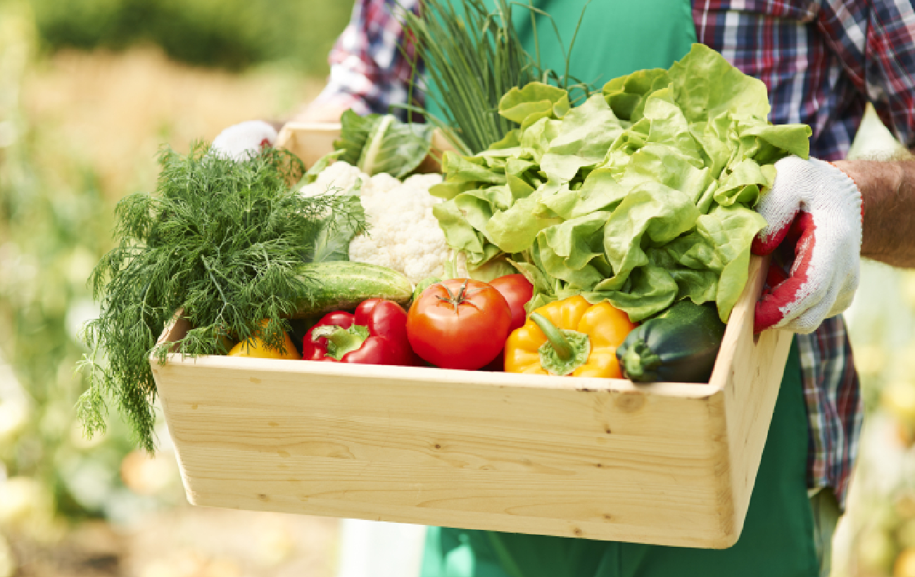 Позаботьтесь о саде и огороде: список обязательных дел в июле для хорошего урожая